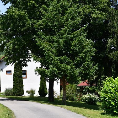 Apartment And Rooms Ivancica Seliste Dreznicko Eksteriør billede