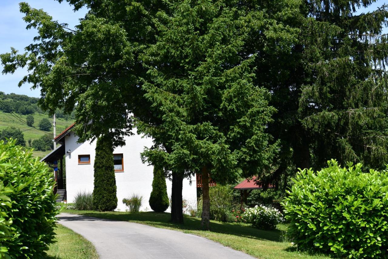 Apartment And Rooms Ivancica Seliste Dreznicko Eksteriør billede