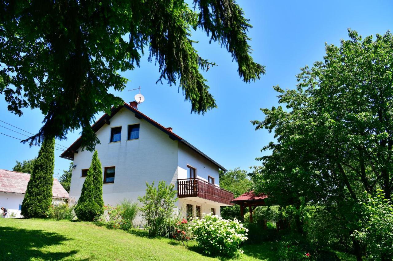 Apartment And Rooms Ivancica Seliste Dreznicko Eksteriør billede