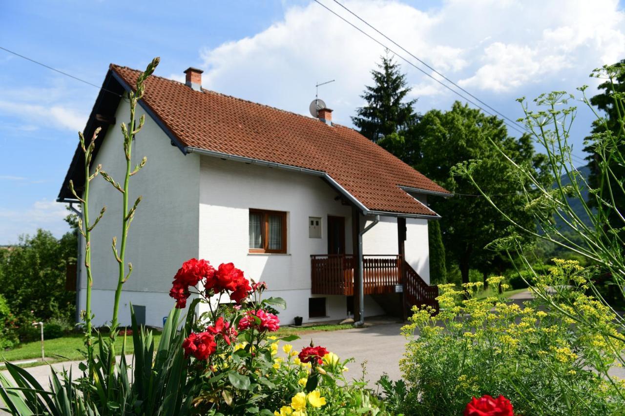 Apartment And Rooms Ivancica Seliste Dreznicko Eksteriør billede